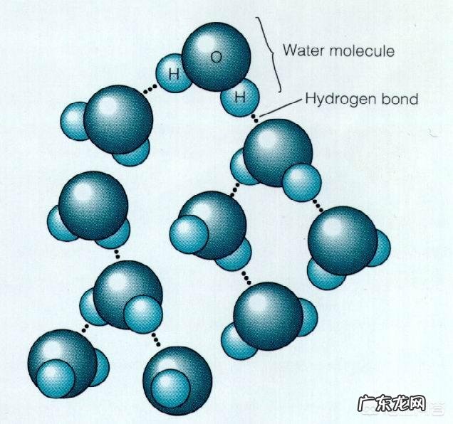 喝水,是喝热水好,还是凉水好,为什么?