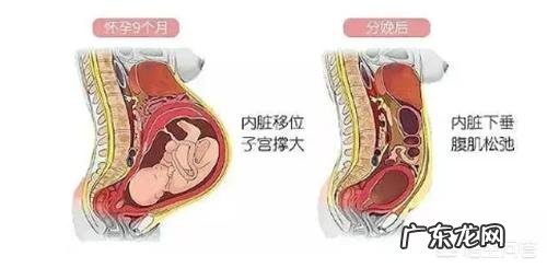 顺产后坐月子期间需要收腹吗?什么时间用效果最好?