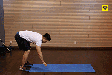 假期如何快速健康的减肥?