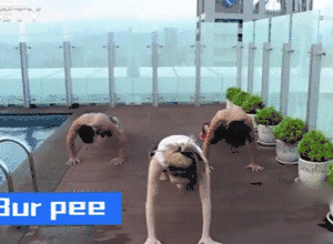 假期如何快速健康的减肥?