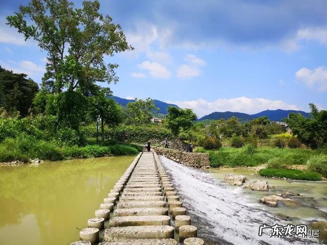 如何用一首诗,表达你对今日头条的钟爱?