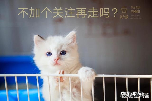 体重急速下降,是否有可能是抑郁症导致的?怎样改善过瘦的情况?