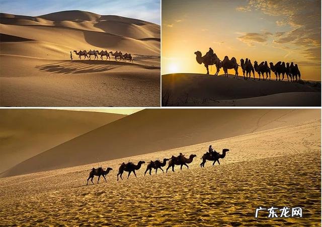 儿童美术沙漠画-保护沙漠儿童画