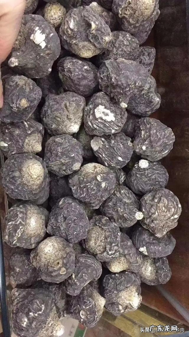 冬天都有哪些素食养生汤?