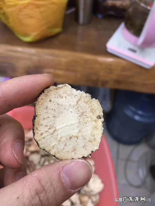 冬天都有哪些素食养生汤?