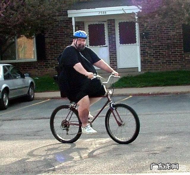 求指点一下捷安特自行车,哪款适合胖人骑啊?