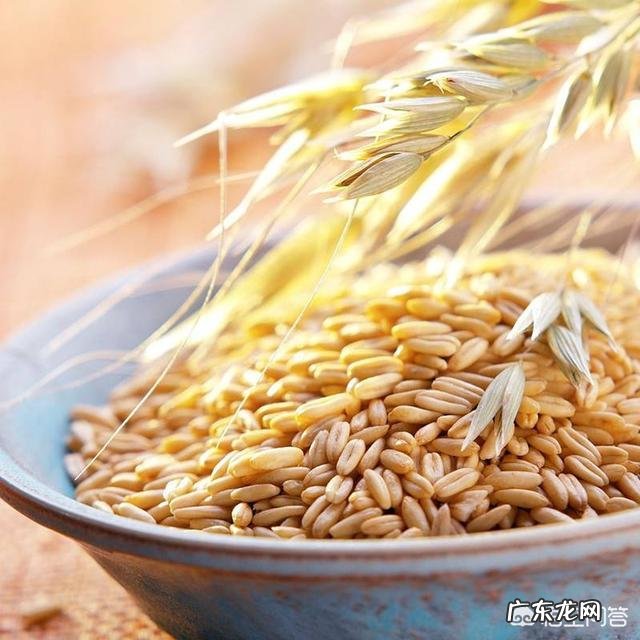 早餐燕麦片怎么吃才能减肥