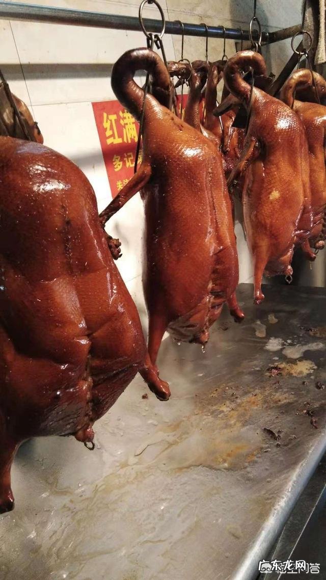 集中概括了鹅的什么特点？