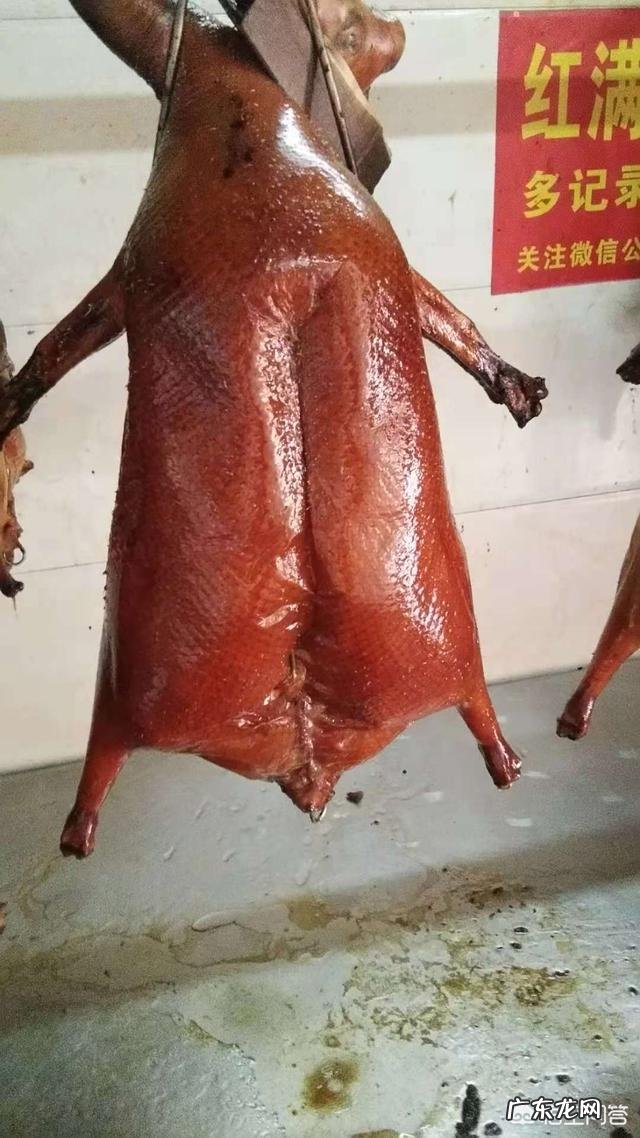 集中概括了鹅的什么特点？