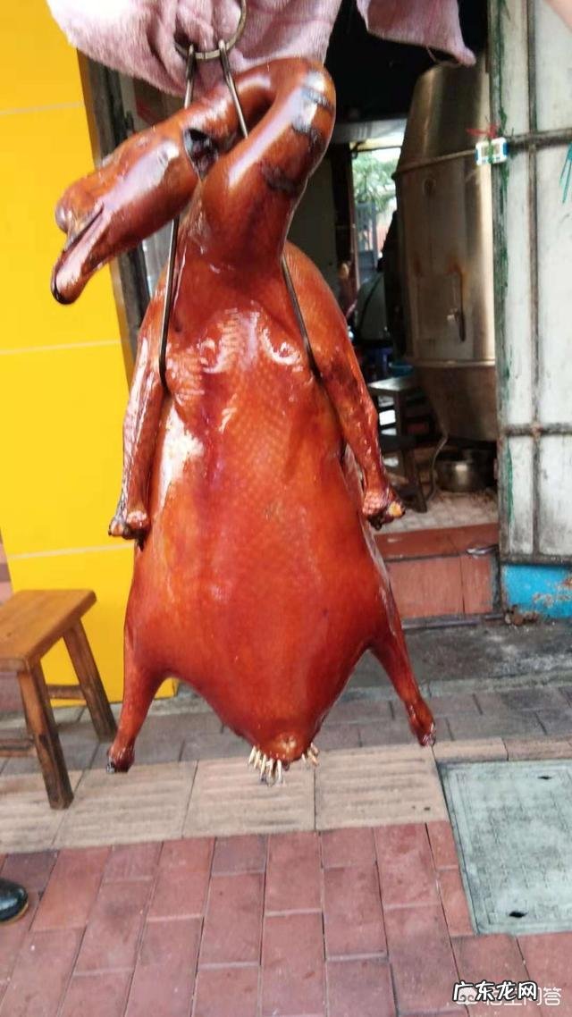 集中概括了鹅的什么特点？