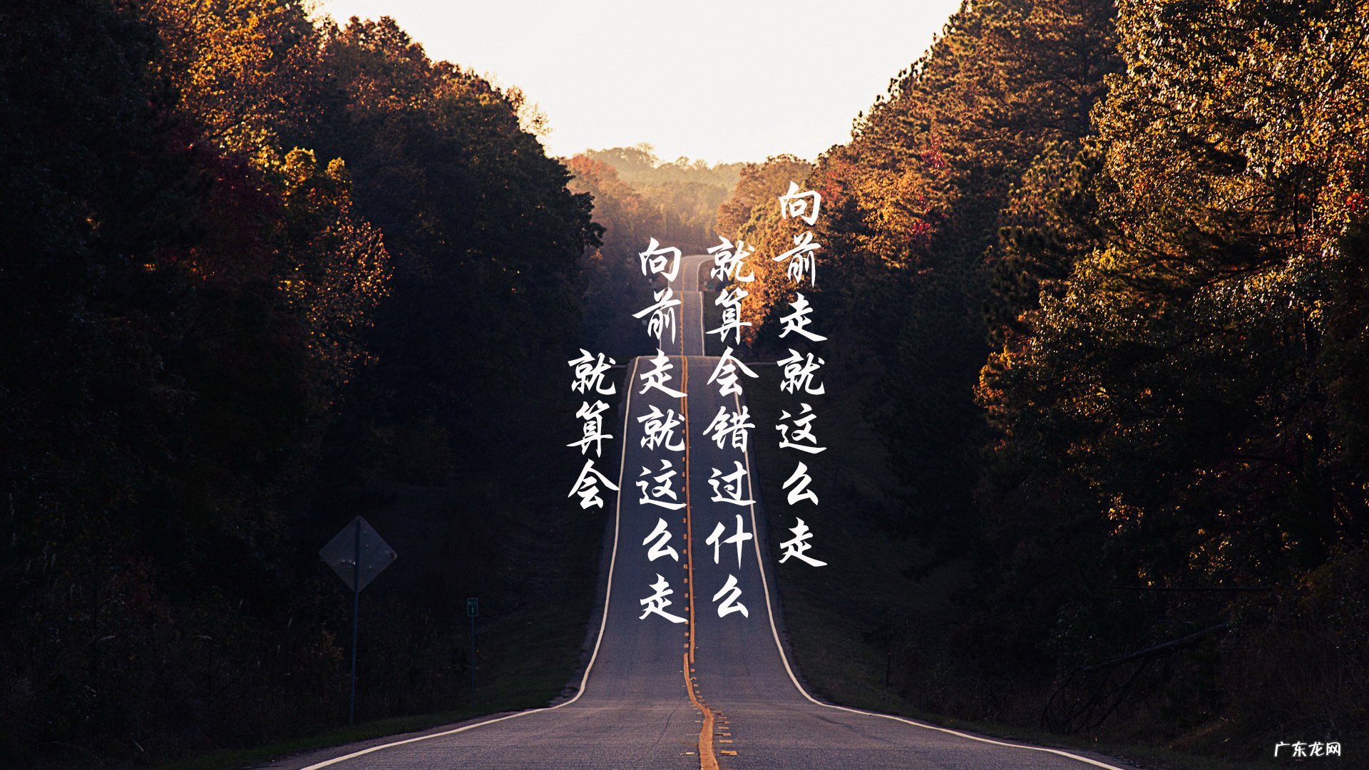 控制饮食两月减重20斤后特别想吃东西,怎么办?