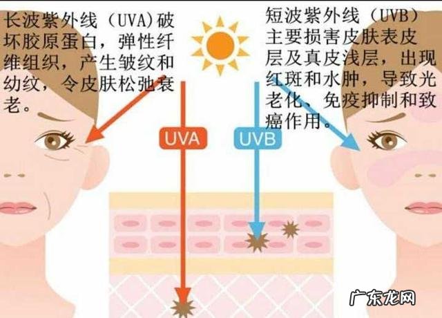 有什么性价比高的防晒霜？