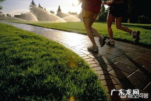 运动会降低血压和血脂吗?