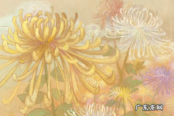 2019淘宝新势力周什么时候开始预热?报名后可以撤销吗?