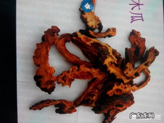 木瓜皮泡脚可以吗 木瓜可以泡脚吗？有哪些功效？