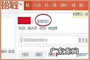 淘宝10年账单怎么看？消费总额如何查看？