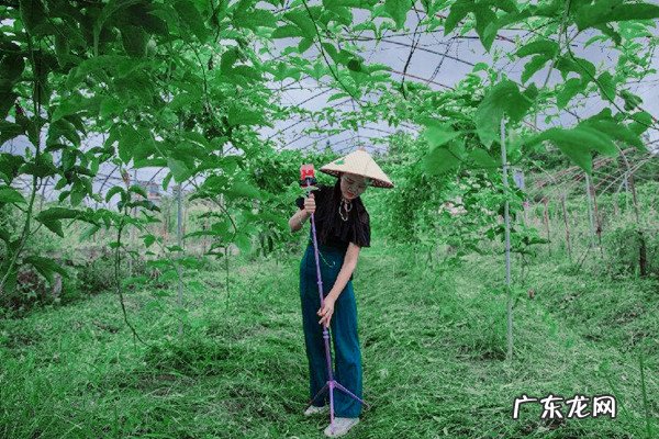 淘宝直播村播日是哪一天?怎么报名?