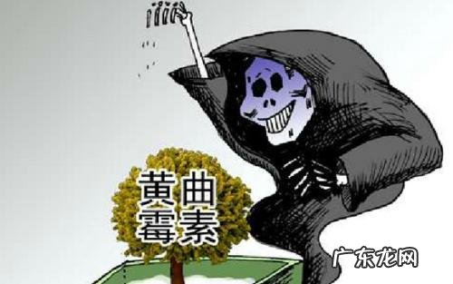 哪些食物和习惯可以减少患癌症的几率?