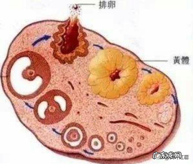 脸上疯狂长痘，是不是螨虫已经成堆了？怎么才能祛痘啊？