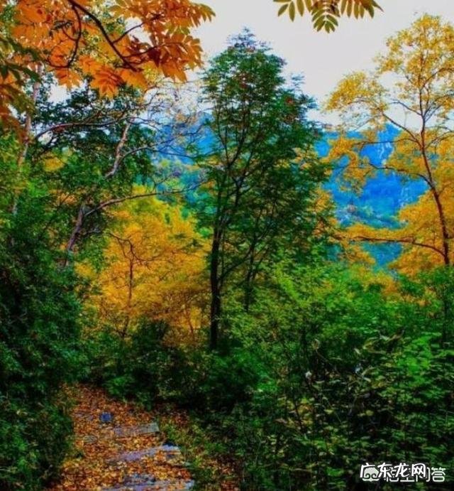 美丽的龙湖公园四百字作文 美丽的龙湖公园作文怎么引用歌词?