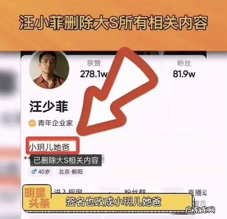 张兰一生的奋斗历程 俏江南老板张兰哪里人