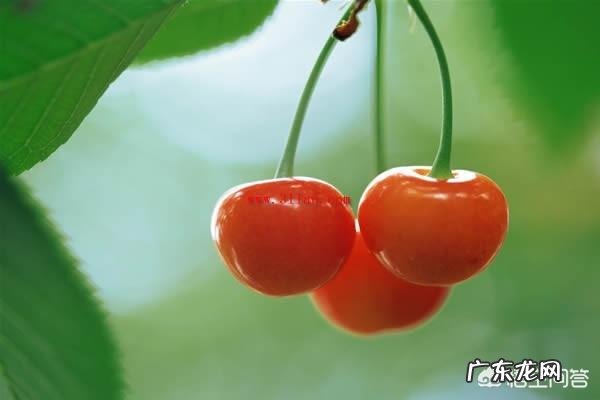 减肥期间什么时间吃维C?