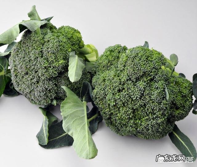 减肥期间什么时间吃维C?