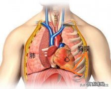 本人男，左胸有点轻微的隐痛咋回事？有时痛有时不痛？