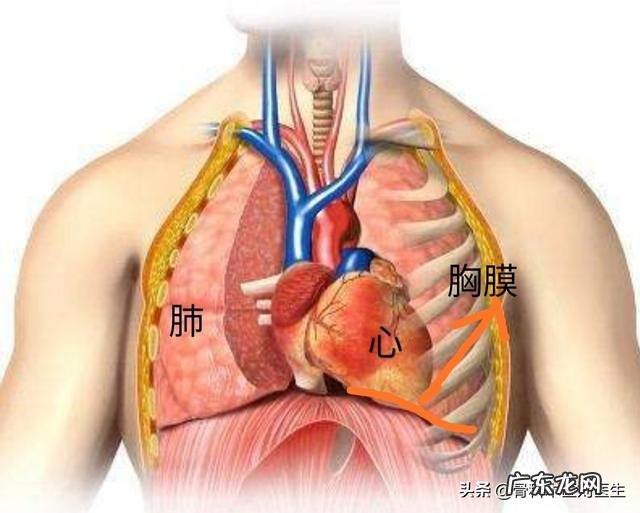 本人男,左胸有点轻微的隐痛咋回事?有时痛有时不痛?