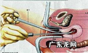 子宫内膜薄是由哪些方面引起的,能怀孕吗?