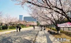 有谁知道哪个大学的食堂很好吃？而且我们外人也可以进去购买？