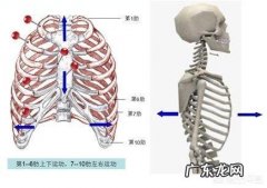 怎么分清骨痛与骨转移 什么样的疼痛应该警惕是骨转移？