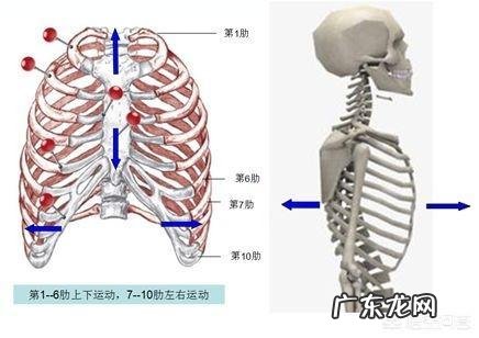 怎么分清骨痛与骨转移 什么样的疼痛应该警惕是骨转移?