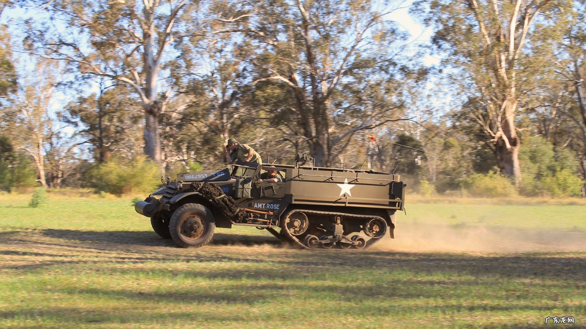 有谁知道这个减肥药的服用方法吗？