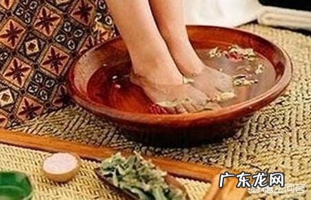 艾叶有什么功效，可以食用吗？