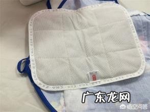 艾叶有什么功效，可以食用吗？