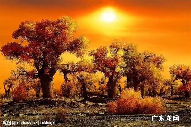 为什么有的容易肥,有的人吃不肥?