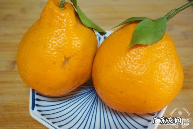 有没有好喝又营养的果汁介绍?