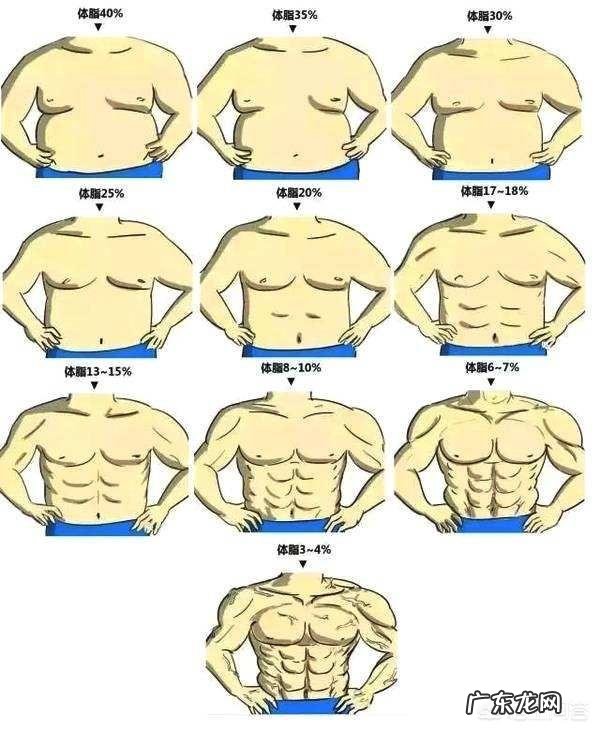 每周轻断食一天会降低基础代谢吗 体重下降,基础代谢也会降低吗?