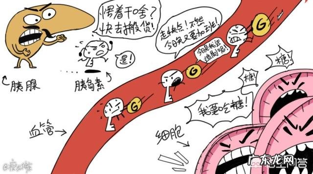 什么是胰岛素抵抗?怎么改善?