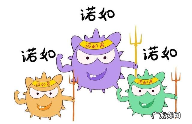 孩子在幼儿园感染诺如怎么处理-幼儿诺如病毒后如何回园