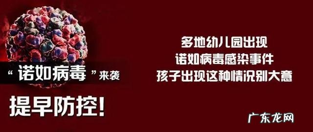孩子在幼儿园感染诺如怎么处理-幼儿诺如病毒后如何回园