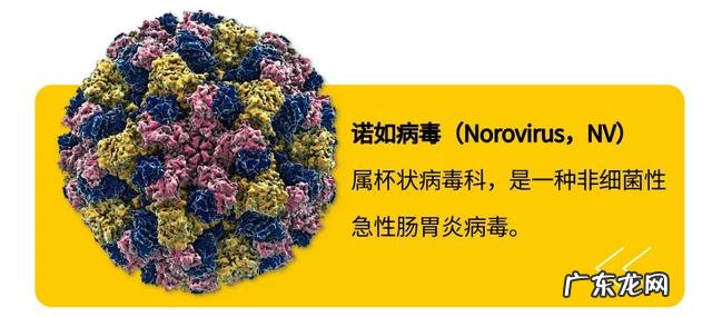 孩子在幼儿园感染诺如怎么处理-幼儿诺如病毒后如何回园
