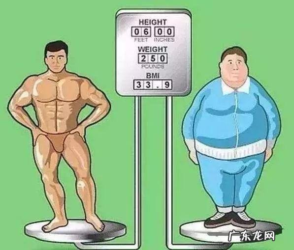 肥胖计算公式来了：体重kg÷身高m2&gt;25，你就是胖子！