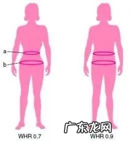 肥胖计算公式来了：体重kg÷身高m2&gt;25，你就是胖子！