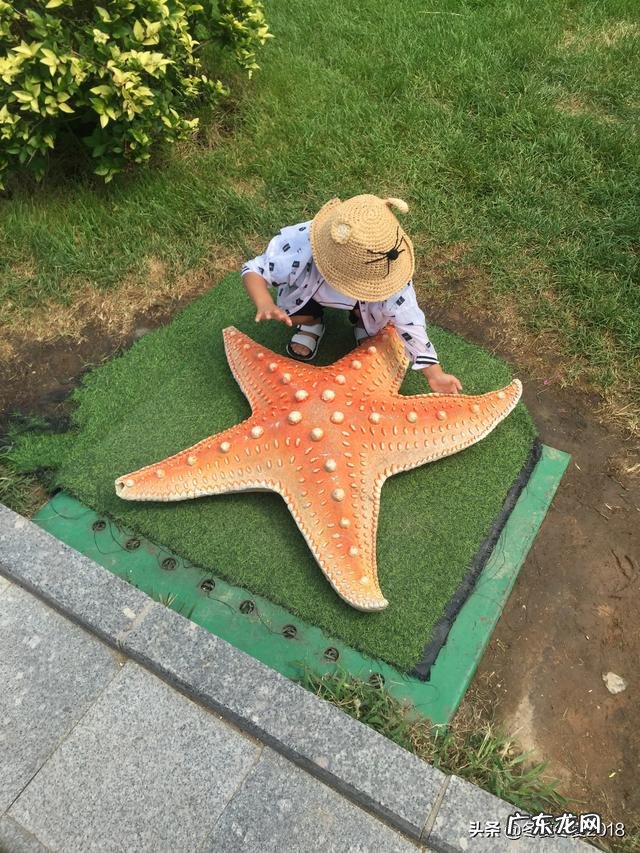 怎样可以下定决心不吃晚饭为了减肥,我太难了,大家能否给些建议