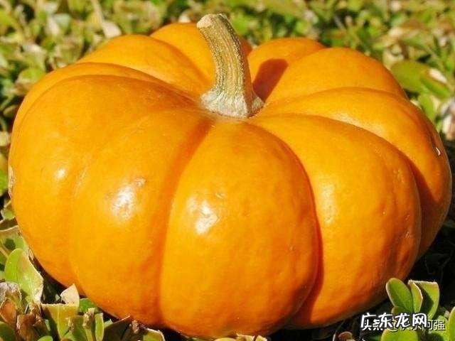 怎样可以下定决心不吃晚饭为了减肥,我太难了,大家能否给些建议