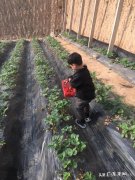 怎样可以下定决心不吃晚饭为了减肥，我太难了，大家能否给些建议