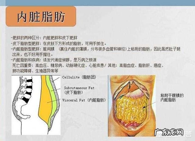 为什么有时候运动很长时间体重还不变?