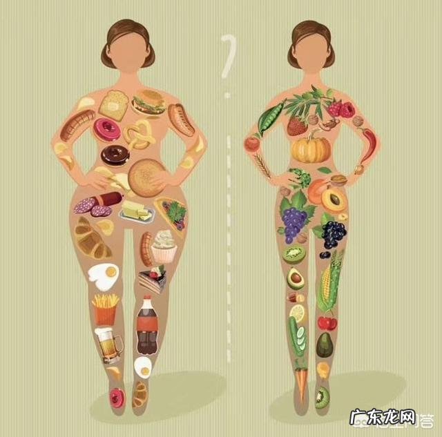 早餐吃饱,中午和晚上都五分饱能减肥吗?